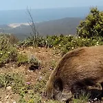 Κατάλυμα σε φάρμα Gragonti, Costa *